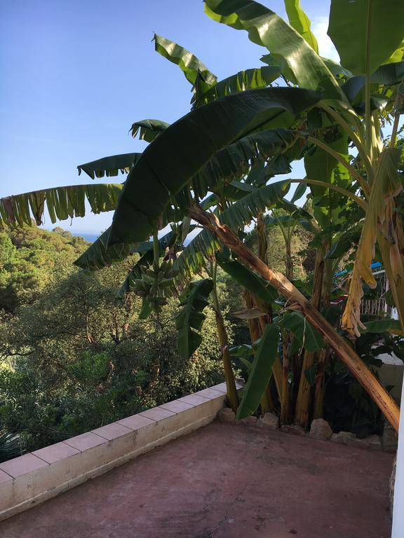 Vila Casa Con Vistas Al Mar Y Piscina Privada Lloret de Mar Exteriér fotografie